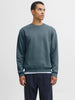 Bradley sweatshirt