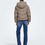 Giubbotto Clair Puffer Hood Jacket Cc Otw Only 