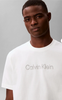 T-Shirts Calvin Klein