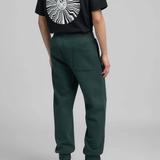 Pantalone M9031 .000.23736PBOTTLE GREEN REPLAY