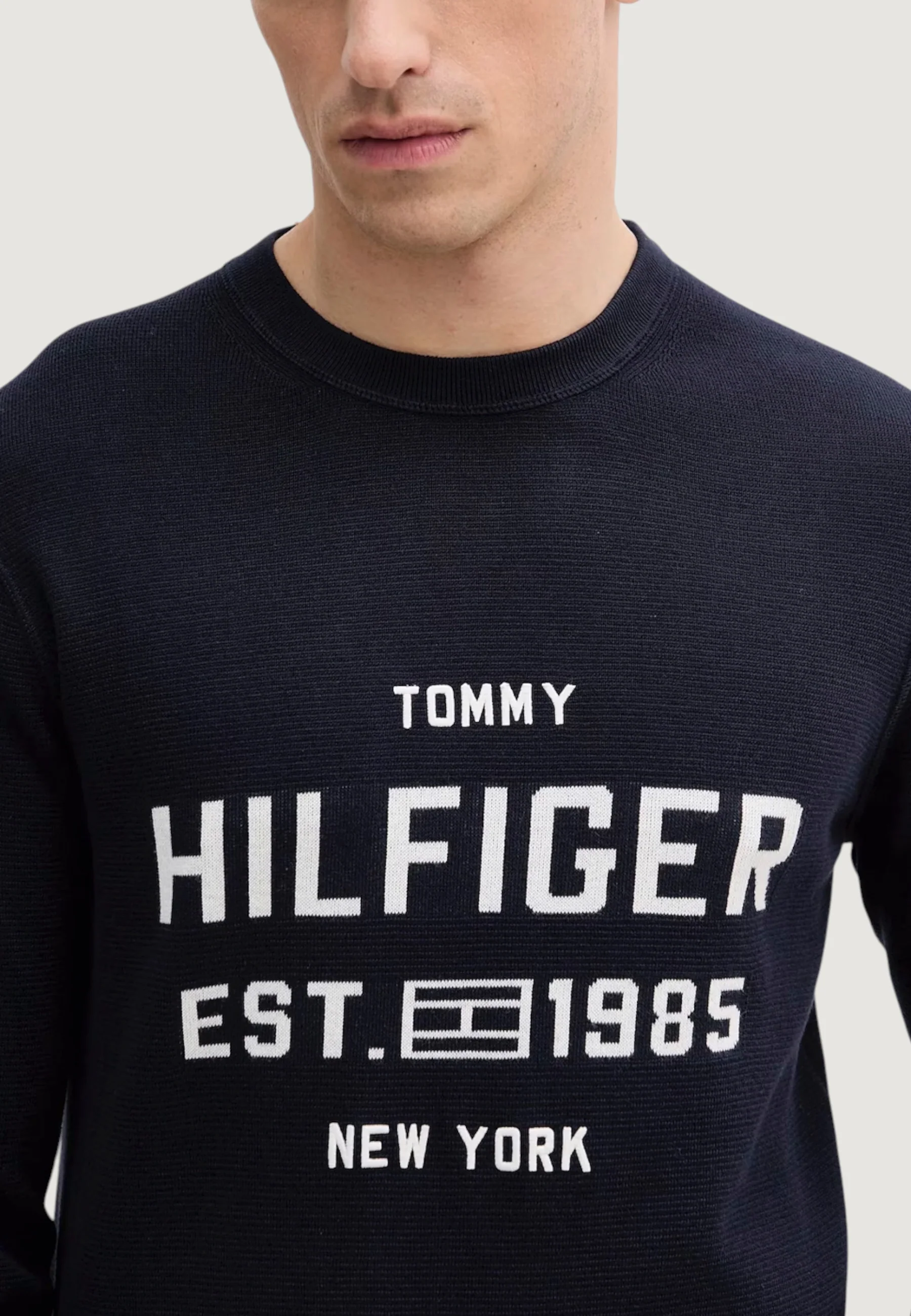 MAGLIA MW0MW39533Desert Sky TOMMY HILFIGER