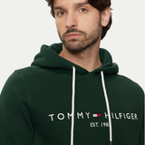FELPA MW0MW11599Ornamental Green TOMMY HILFIGER