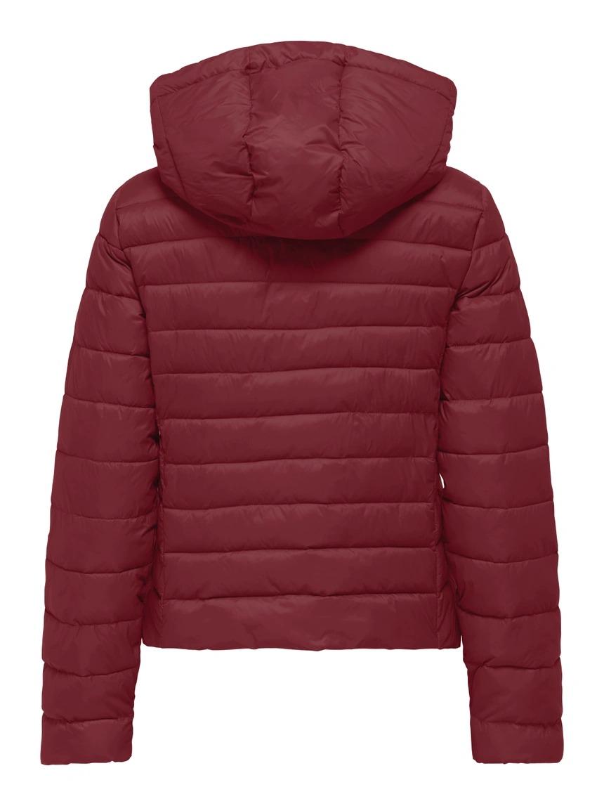 giubbotto tahia 15352020CABERNET ONLY