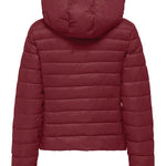 giubbotto tahia 15352020CABERNET ONLY