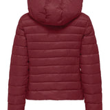 giubbotto tahia 15352020CABERNET ONLY