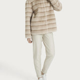 GIACCONE DQ43KXChampignon RAGNO