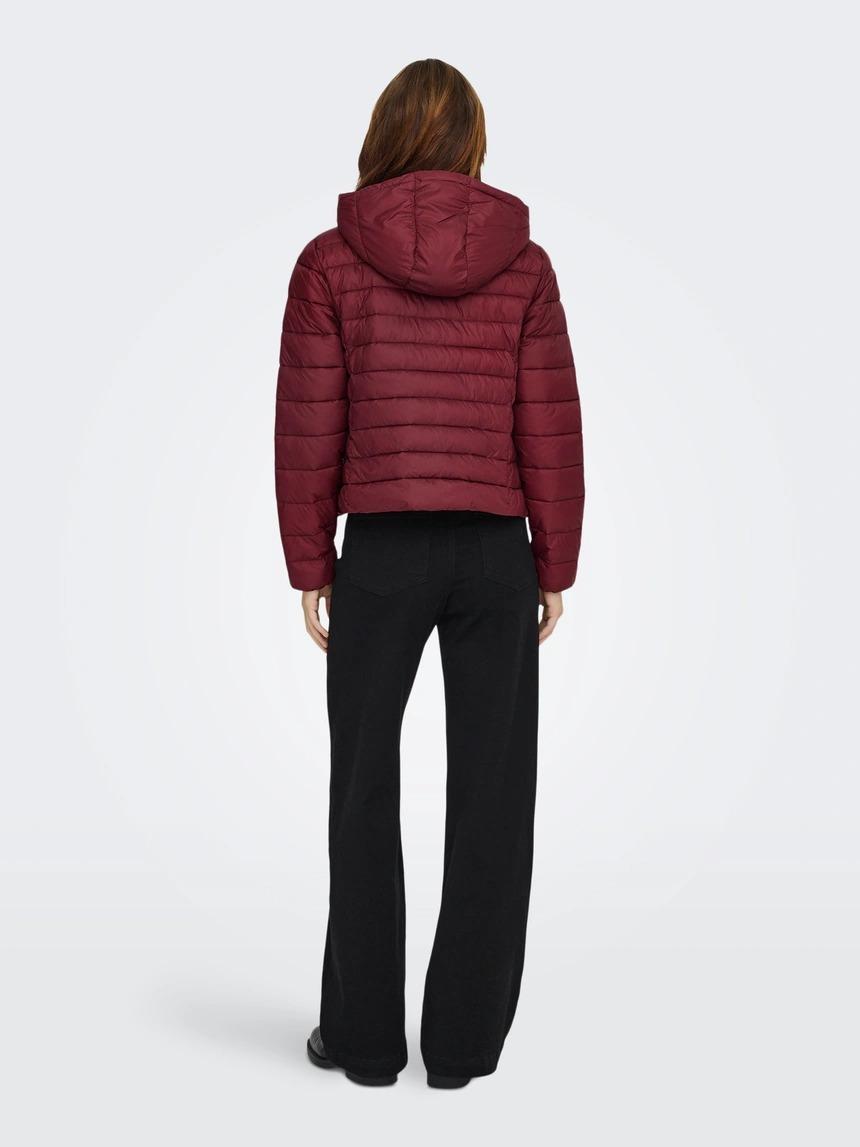 giubbotto tahia 15352020CABERNET ONLY