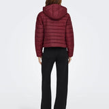 giubbotto tahia 15352020CABERNET ONLY