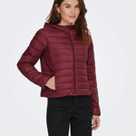 giubbotto tahia 15352020CABERNET ONLY