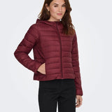 giubbotto tahia 15352020CABERNET ONLY